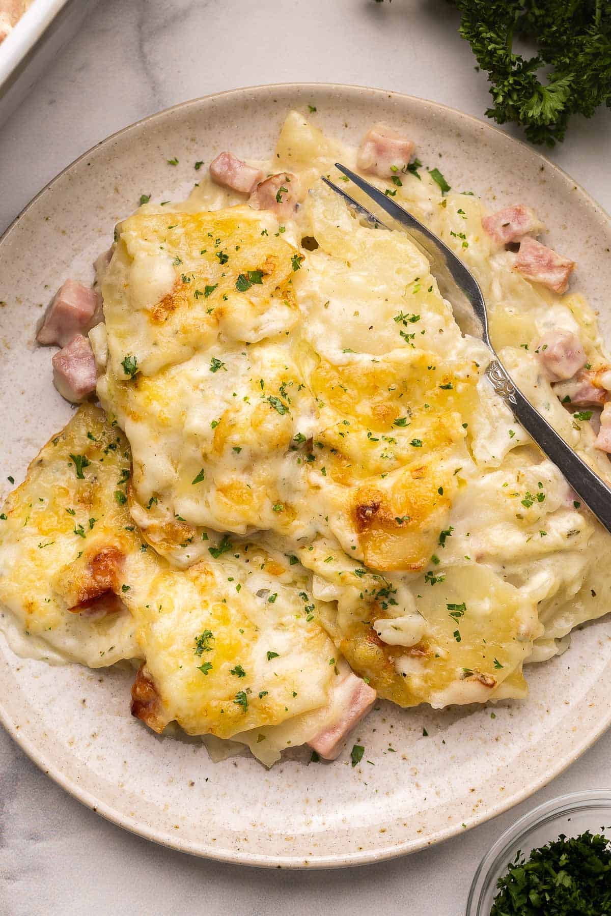 a plate filled with scalloped potatoes and ham with parsley behind it.