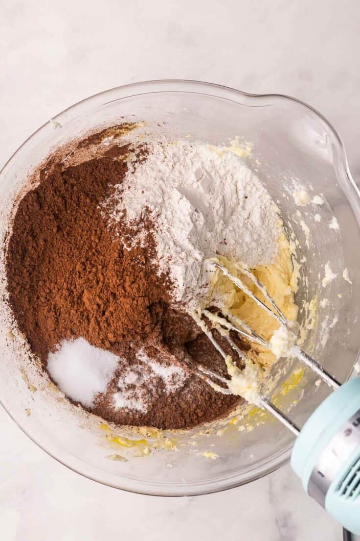 dry ingredients added to other dough ingredients in bowl.