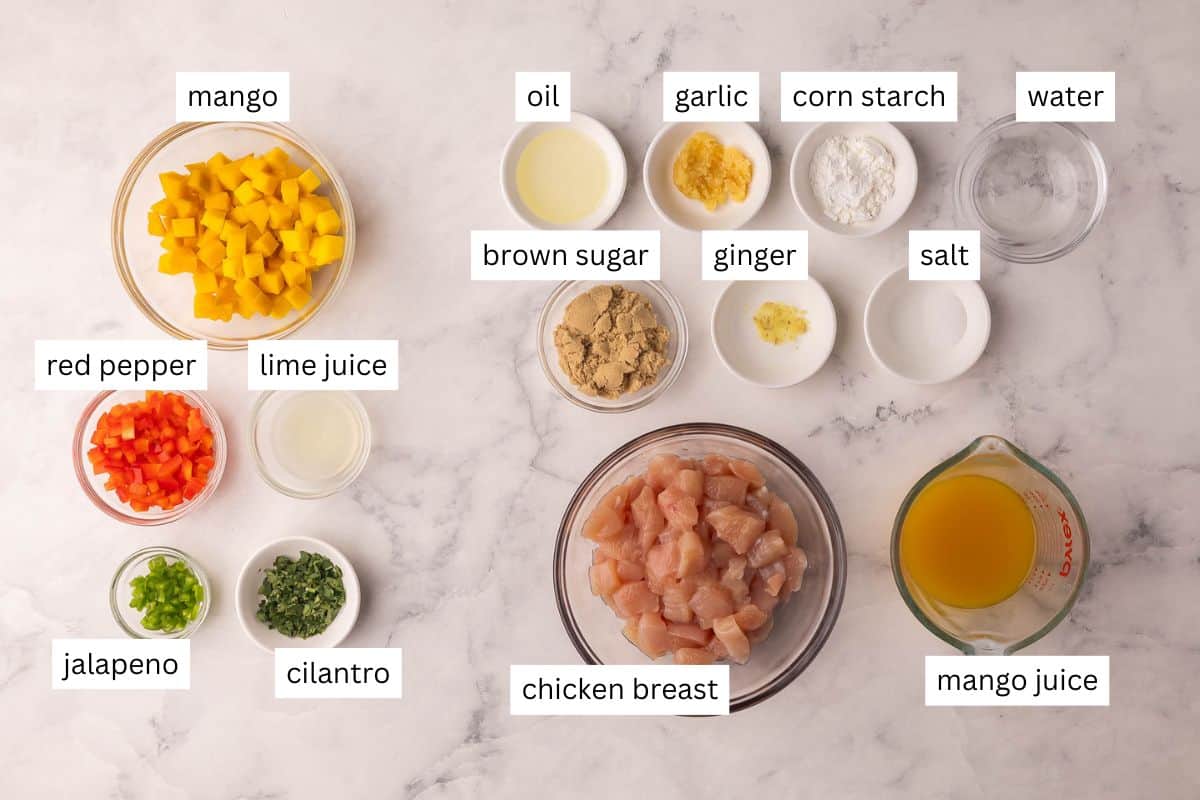 These Mango Chicken Rice Bowls with tender chicken breast, fluffy rice and homemade mango salsa are ready in just 35 minutes and perfect for weeknight dinners! #chicken #recipe #dinner | dinner ideas | dinner recipes | chicken breast recipes | chicken recipes | easy dinner ideas | healthy meals ingredients needed for mango chicken rice bowls on a white background.