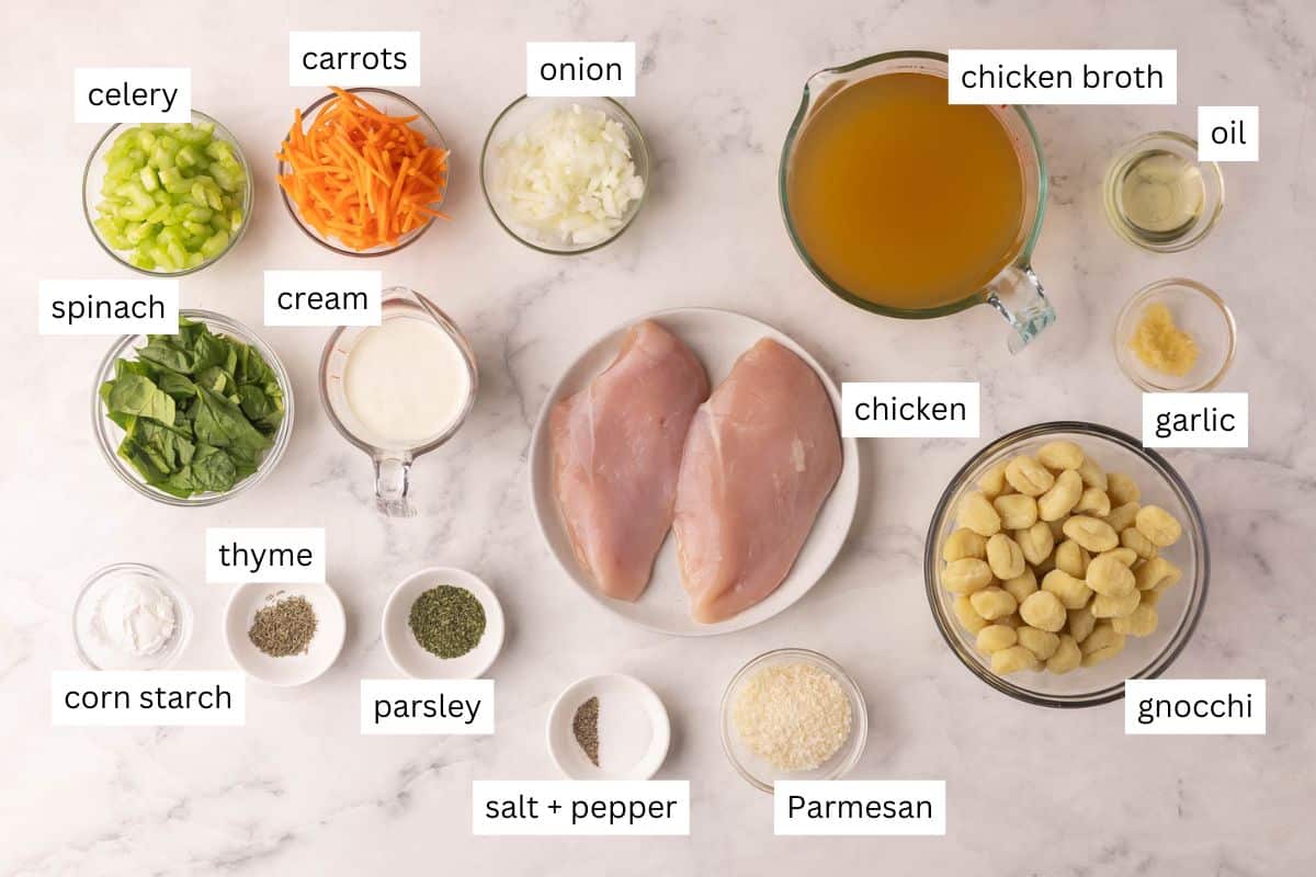 ingredients needed for chicken gnocchi soup in bowls and plate.