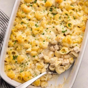 a steel ladle in a pan of chicken alfredo bake.