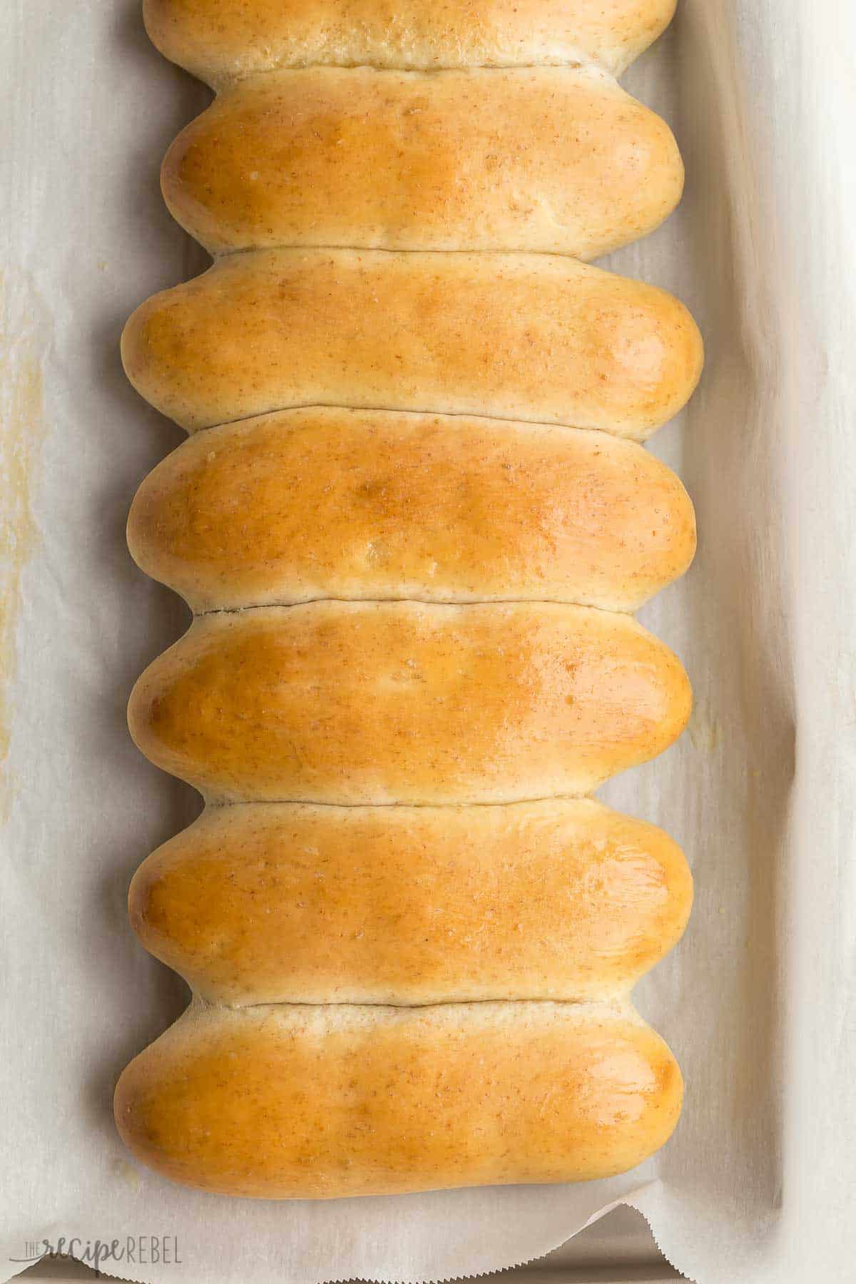 These Homemade Hot Dog Buns will take your barbecue to the next level! They are soft and fluffy and way better than store bought! #hotdog #barbecue #bread #baking #recipe | easy baking recipes | homemade hot dog buns | homemade buns | baking from scratch | barbecue recipes | easy recipes homemade hot dog buns on a baking sheet not yet pulled apart.